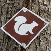 11th Mar 2011 - Squirrel Trail