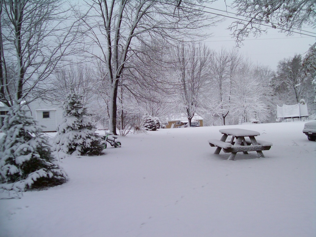 A Blanket of White by julie