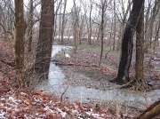 12th Mar 2011 - Water in creek