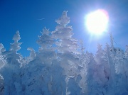 12th Mar 2011 - Top Of Cannon Mountain