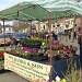 Plant stall at the Farmer's market by busylady