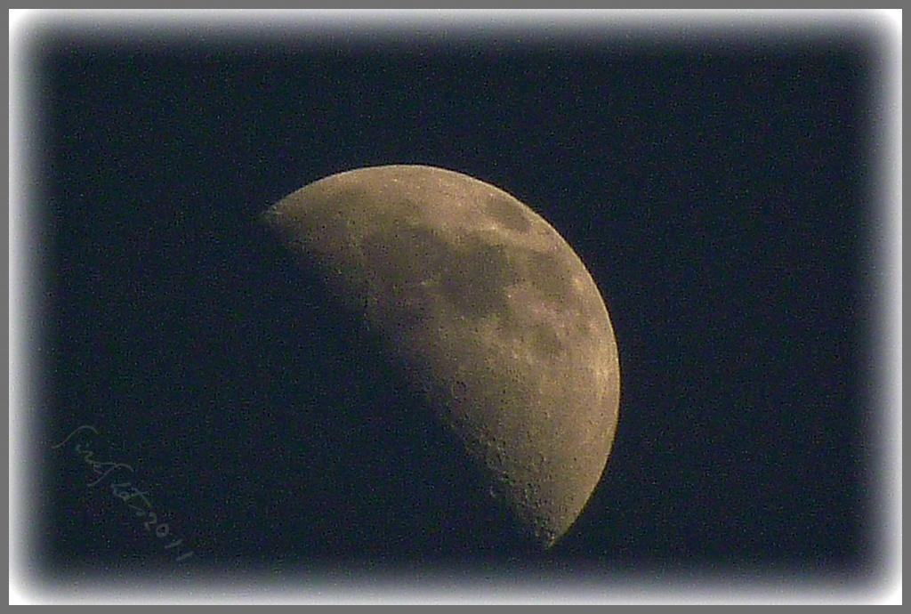 First Quarter Moon by peggysirk