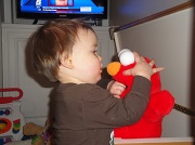 24th Feb 2011 - Elmo!