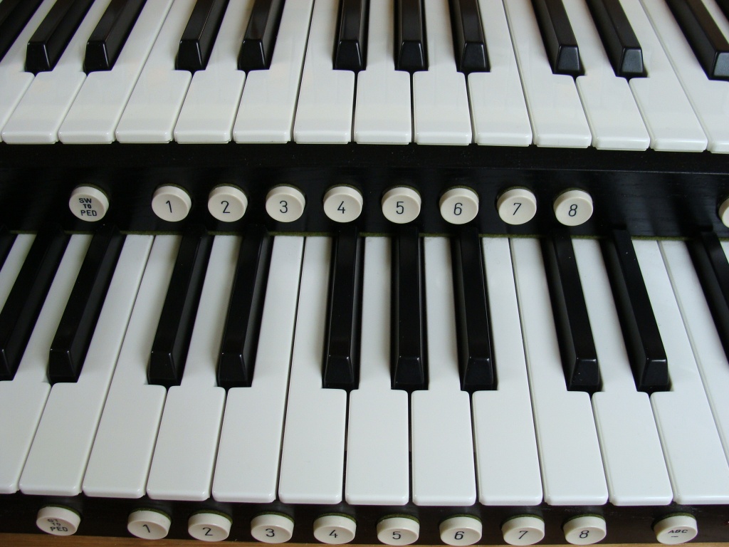organ keyboard by busylady