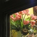 Spring through the window by juletee