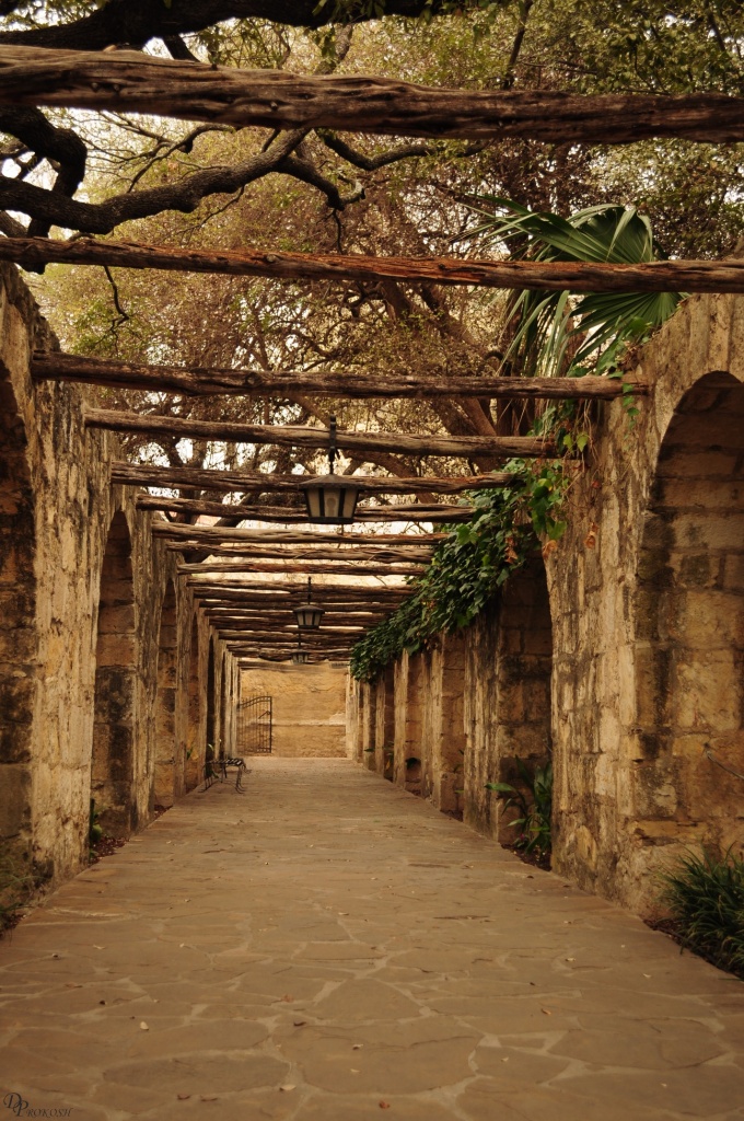 The Alamo-San Antonio Texas by dora