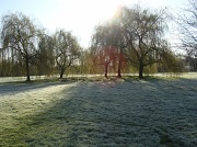 14th Mar 2011 - Early morning frost