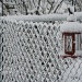 Another Beautiful Snow. 068_297_2011 by pennyrae