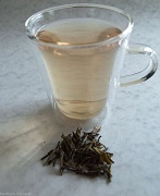 14th Mar 2011 - Tea of the month - March Hua Shan