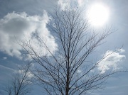15th Mar 2011 - Sun in the sky