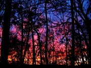 6th Mar 2011 - Firey Sunset