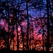 Firey Sunset by vernabeth