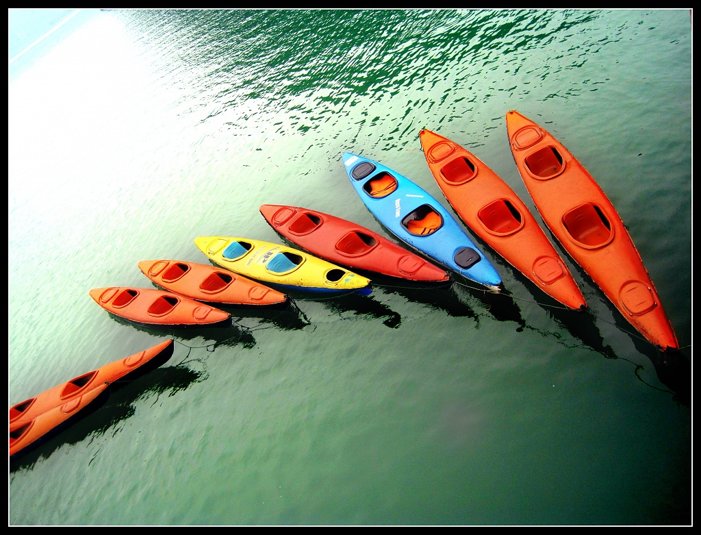 Kayak formation by lily