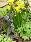 15th Mar 2011 - There Are Fairies at the Bottom of My Garden!