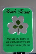 16th Mar 2011 - Irish Toast Bookmark