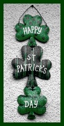 16th Mar 2011 - Happy St. Patricks Day!