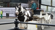 17th Mar 2011 - Horse and cart at the traffic lights