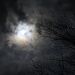 Bright Moon by svestdonley