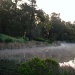 Foggy Pond by melinareyes