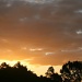 Sunset  by corymbia