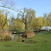 Riverside park in St Neots by busylady
