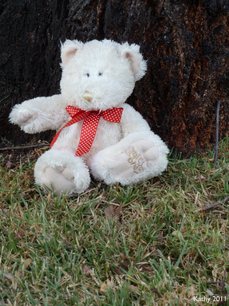 Teddy Bear by kjarn