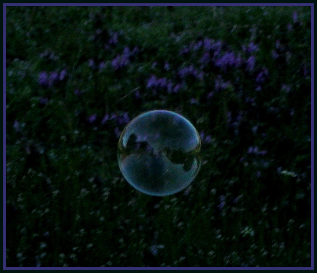 Dream Bubble by cjwhite