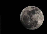 18th Mar 2011 - Super Moon