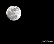 19th Mar 2011 - Almost Full Moon