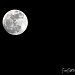 Almost Full Moon by peggysirk