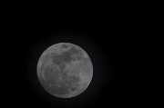 18th Mar 2011 - Almost Super Moon