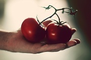 19th Mar 2011 - one tomato, two tomato