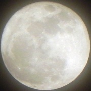 19th Mar 2011 - Super Moon!