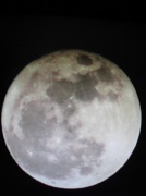 20th Mar 2011 - big moon