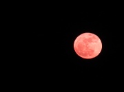 19th Mar 2011 - moon over lake ontario