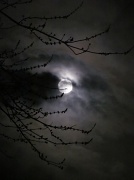 19th Mar 2011 - Perigee Moon