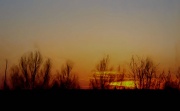20th Mar 2011 - Sunset