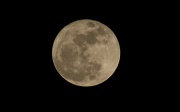 21st Mar 2011 - moon