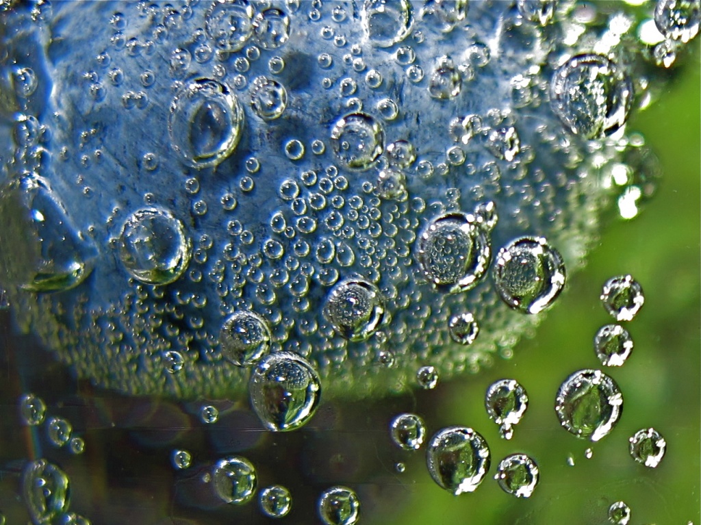 Blueberry bubbles by alia_801