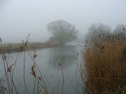 21st Mar 2011 - A foggy day