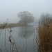 A foggy day by busylady