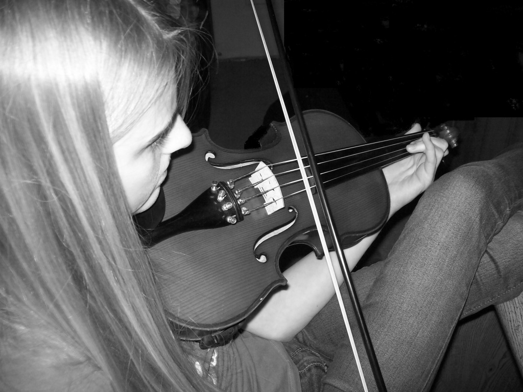 Sweet Strains of the Strings by julie