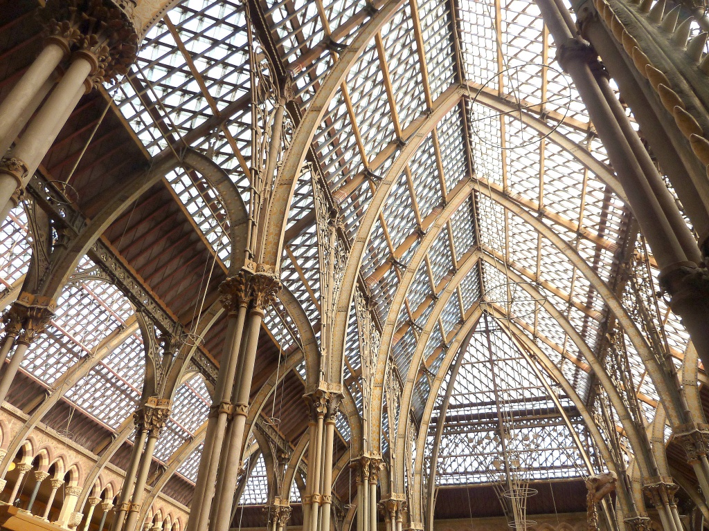  Beautiful building - Oxford University Natural History Museum by dulciknit