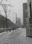 23rd Mar 2011 - snowcalypse