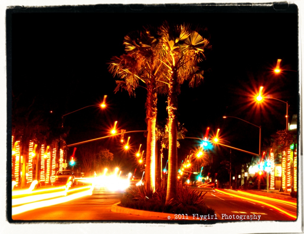 Lighted Palms II by flygirl
