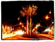 20th Jul 2012 - Lighted Palms II