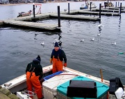 23rd Mar 2011 - Fishermen On The Wharf