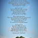 sunny day at last poem by corymbia