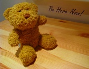 25th Mar 2011 - Little ted