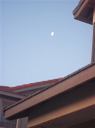 24th Mar 2011 - Morning moon